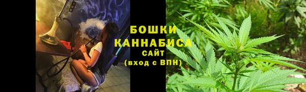 прущие грибы Баксан