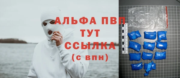 прущие грибы Баксан